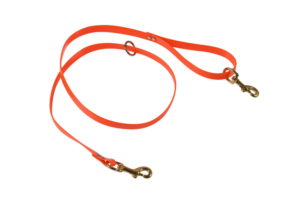 3/4" 5Ft Nylon Lead 2 Snaps/o-Ring W/o Chain