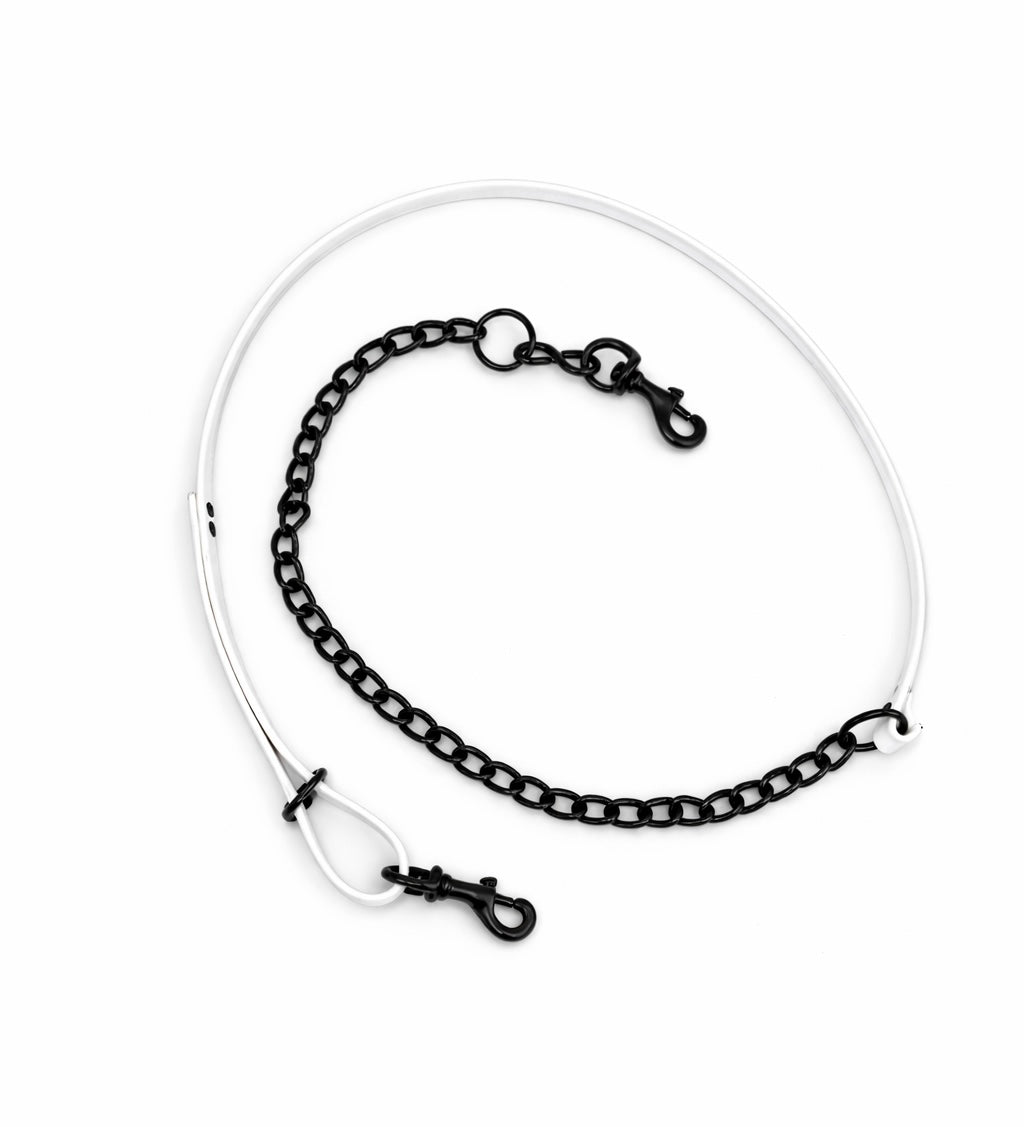 3/4" 5Ft Beta Lead 2 Snaps/O-Ring With Chain