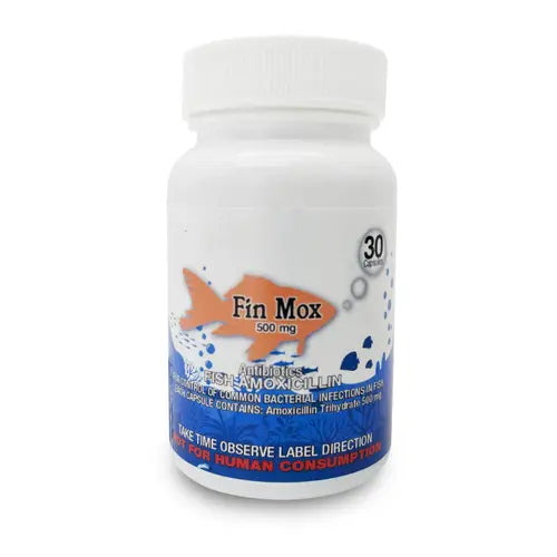 Fin Mox 500Mg 30Ct Amoxicillin