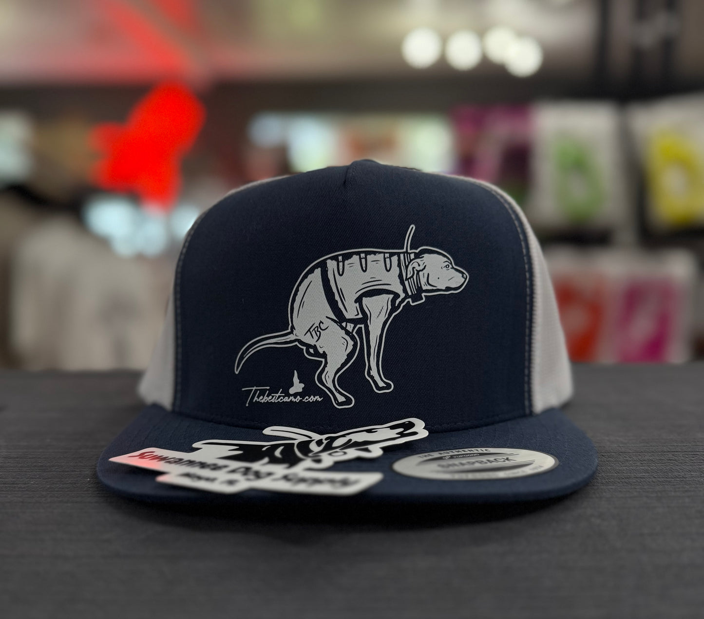 Shane Ray Hat