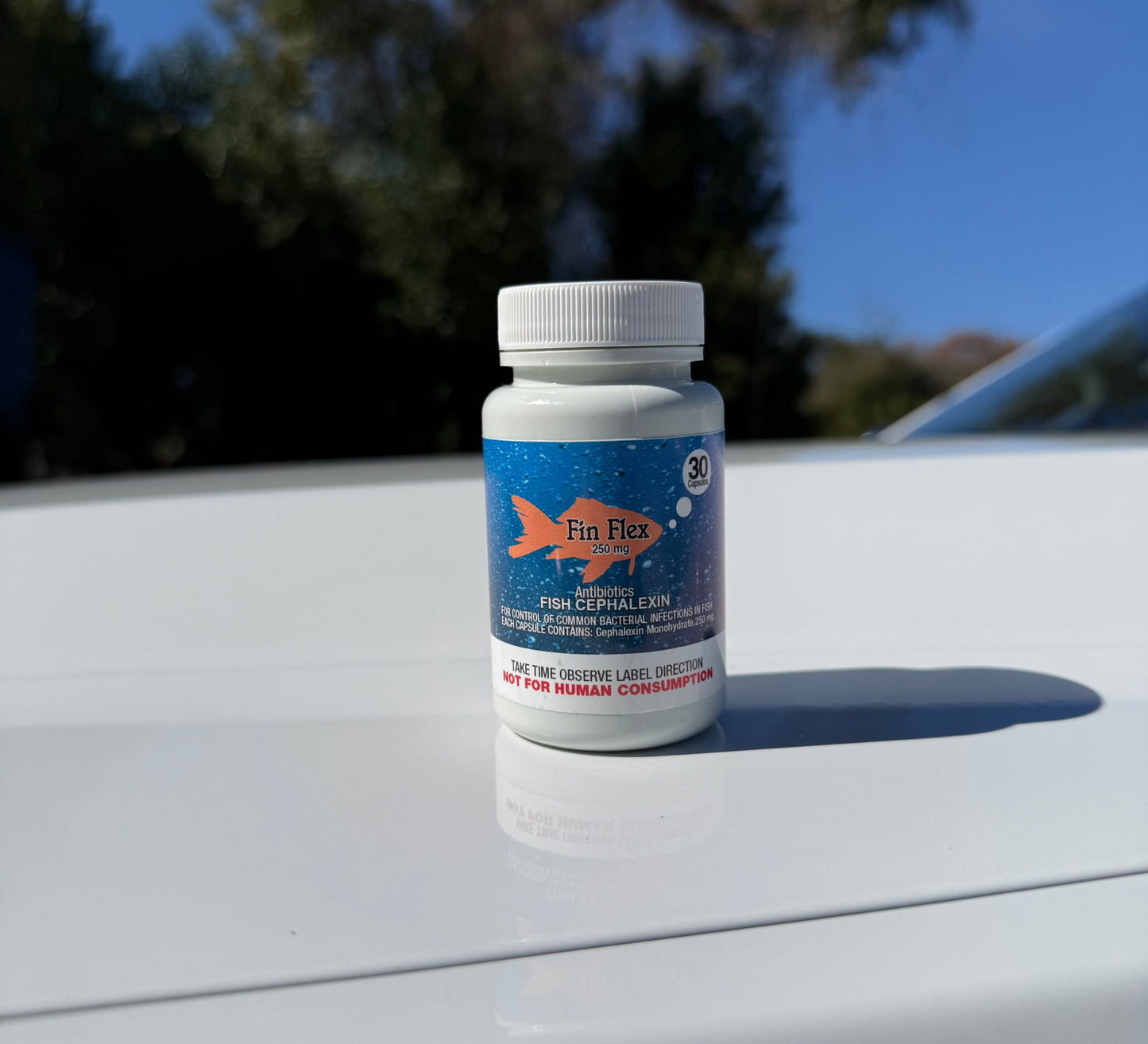 Fin Flex 250Mg 30Ct Cephalexin