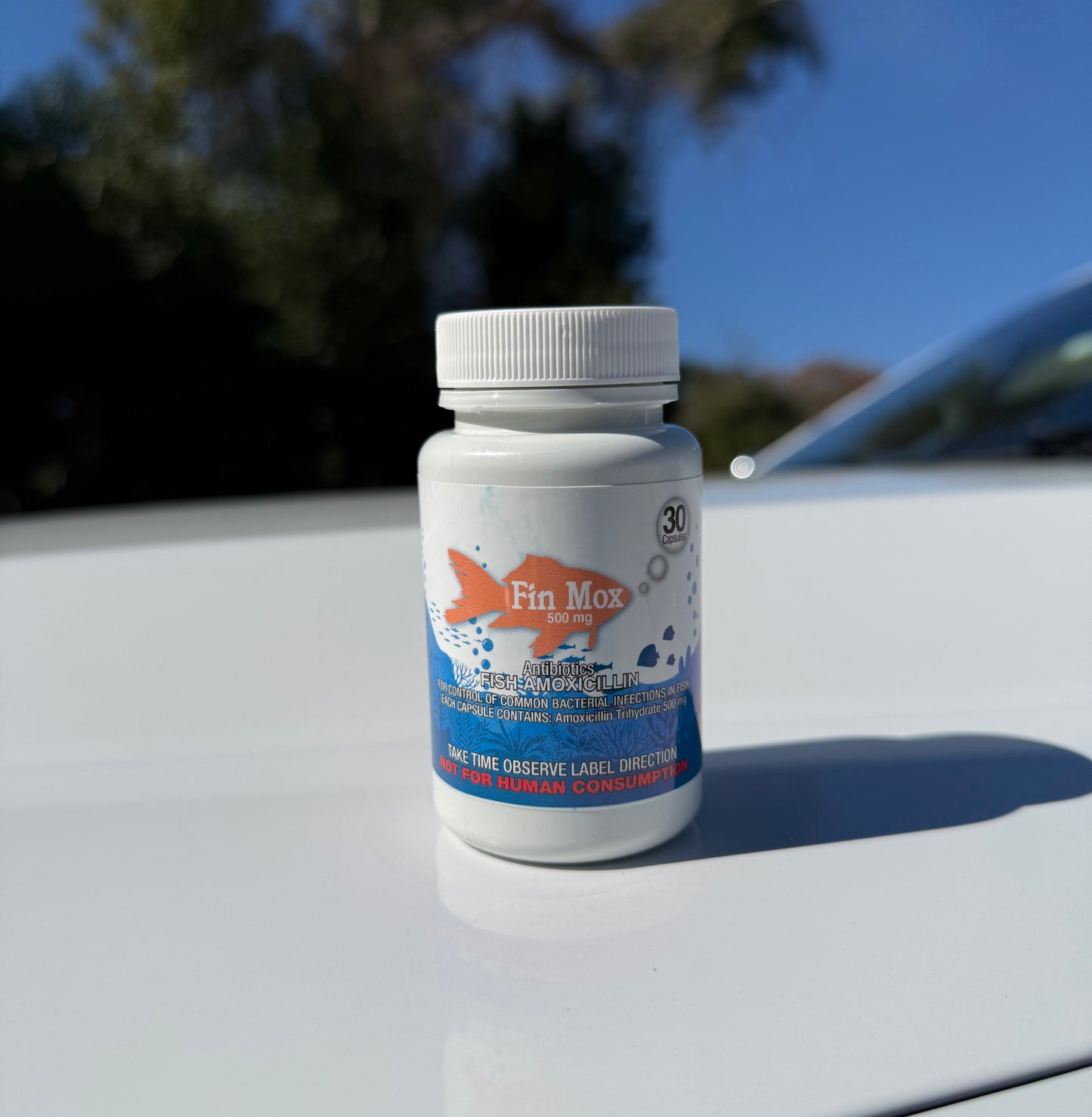 Fin Mox 500Mg 30Ct Amoxicillin