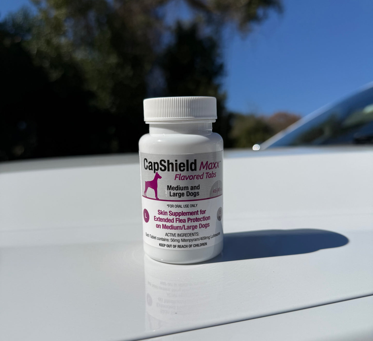 Capshield Maxx Flea Protection Large