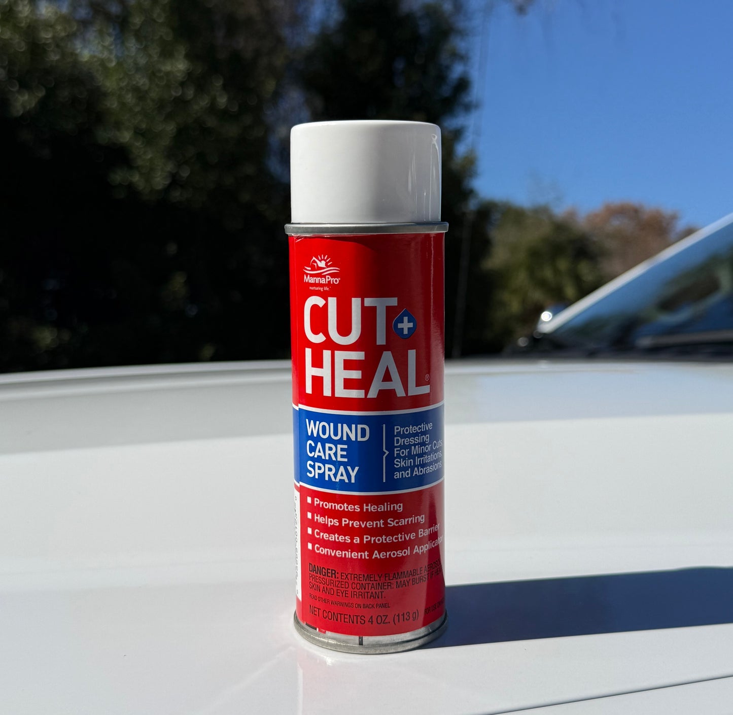 Cut-Heal Wound Care 4Oz