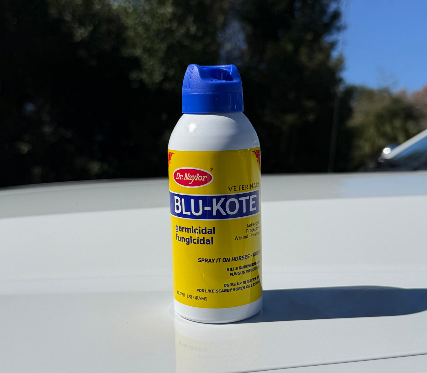 Blue-Kote Aerosol 5Oz
