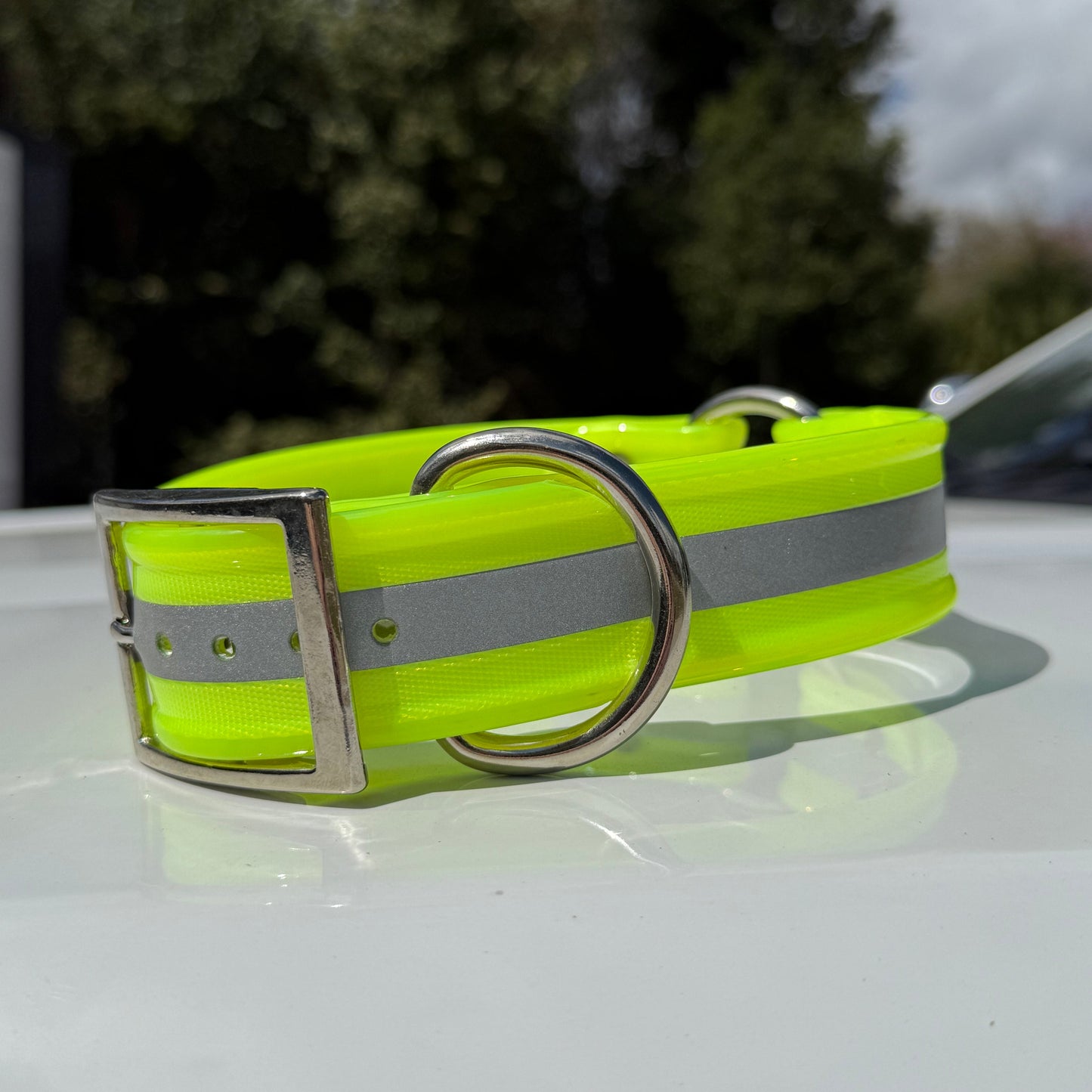 1 1/2" Reflective w/ D&O Ring Collar