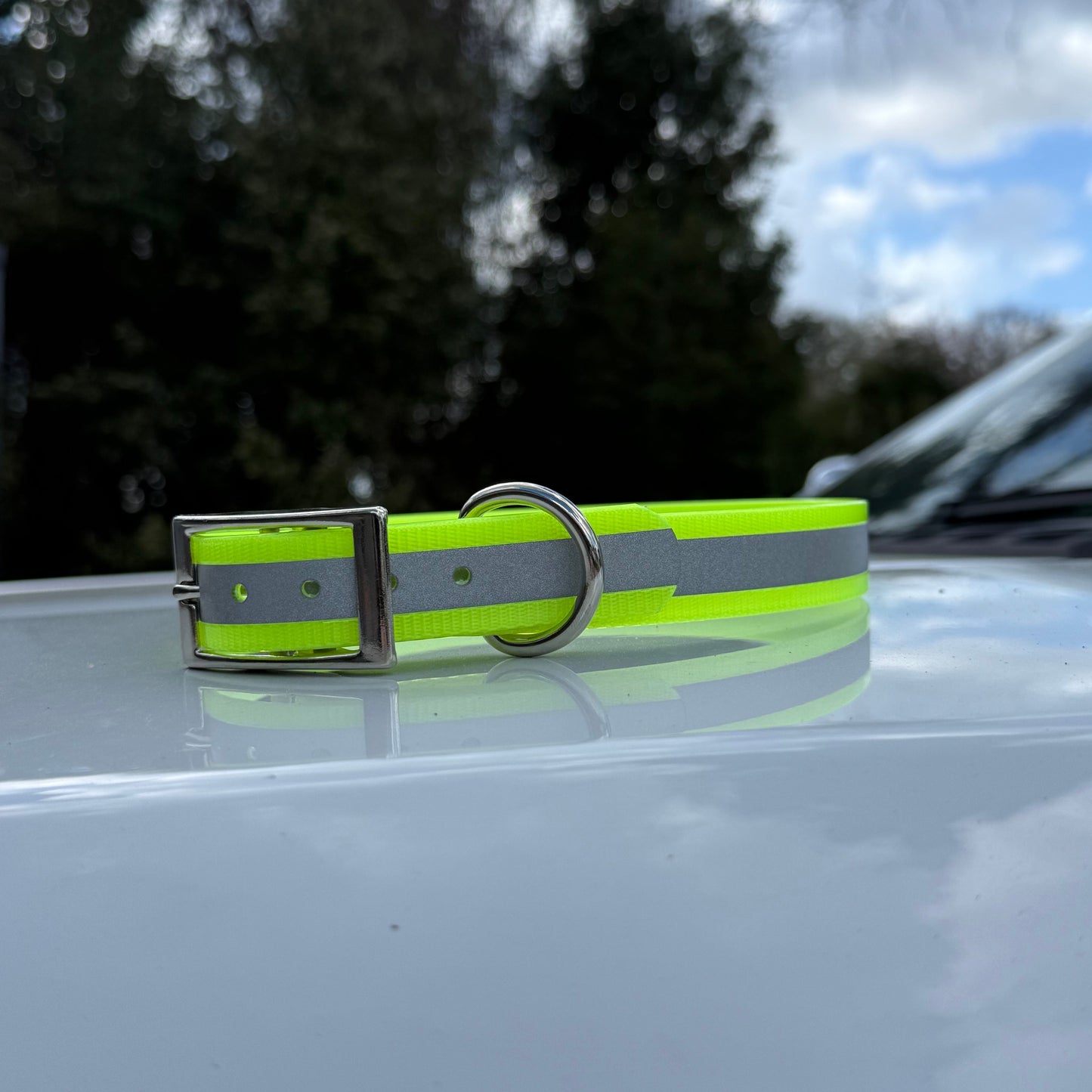 1" Standard Reflective w/ D Ring Collar