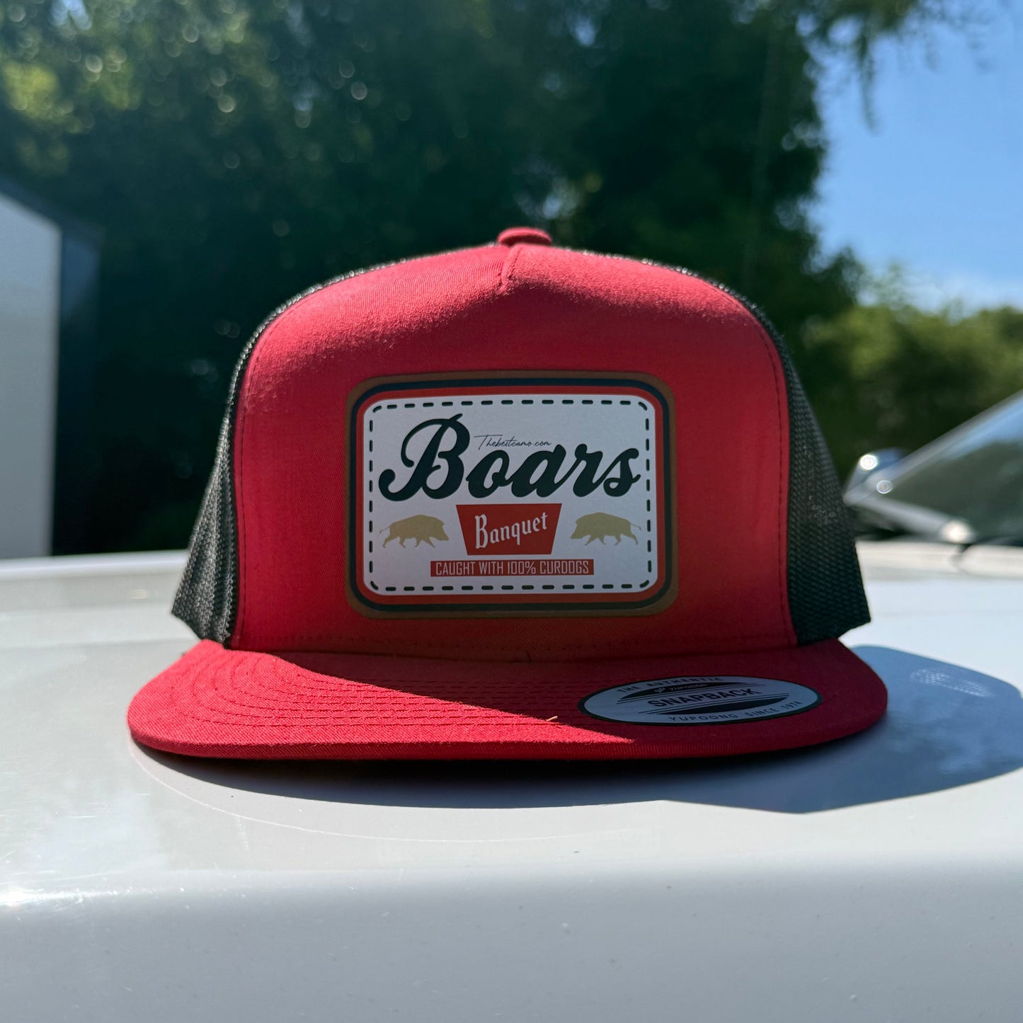 Boars Banquet Patch Hat