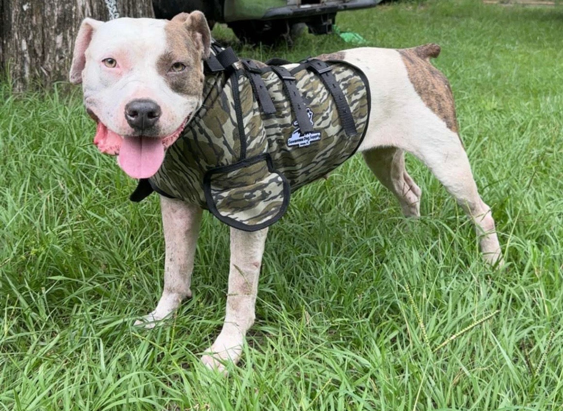 Suwannee Dog Supply Bay Vest