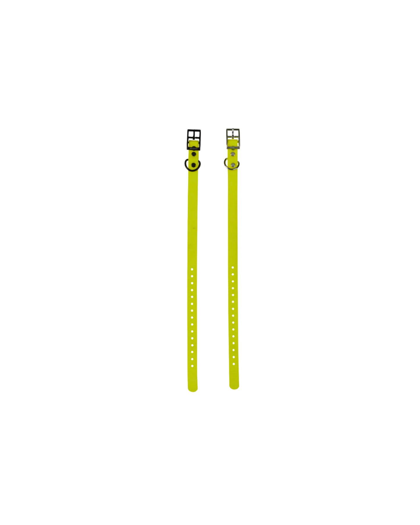 1" Reg Dayglow w/ D Ring Collar