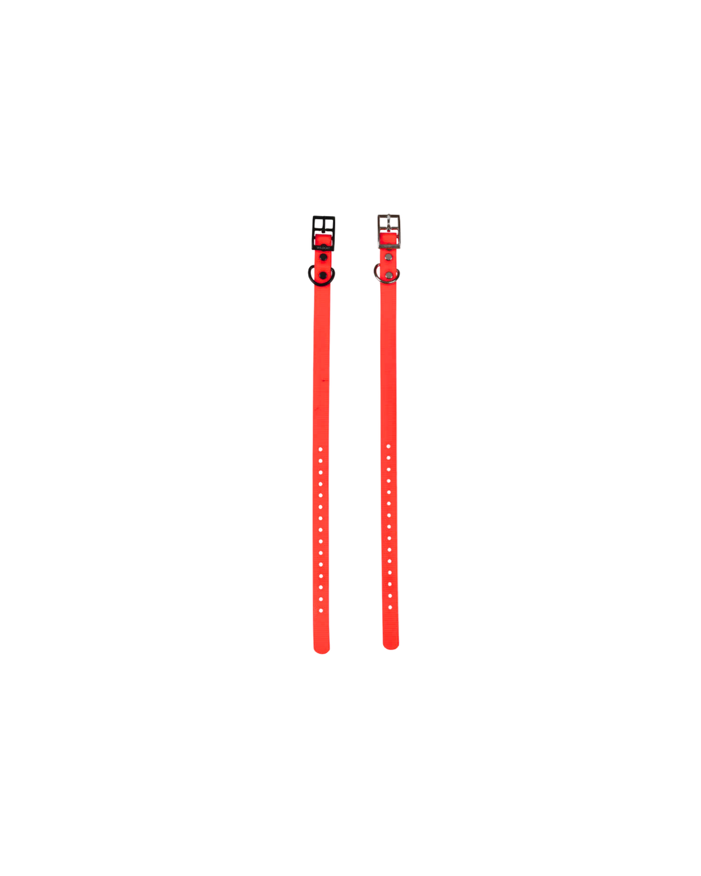 1" Reg Dayglow w/ D Ring Collar