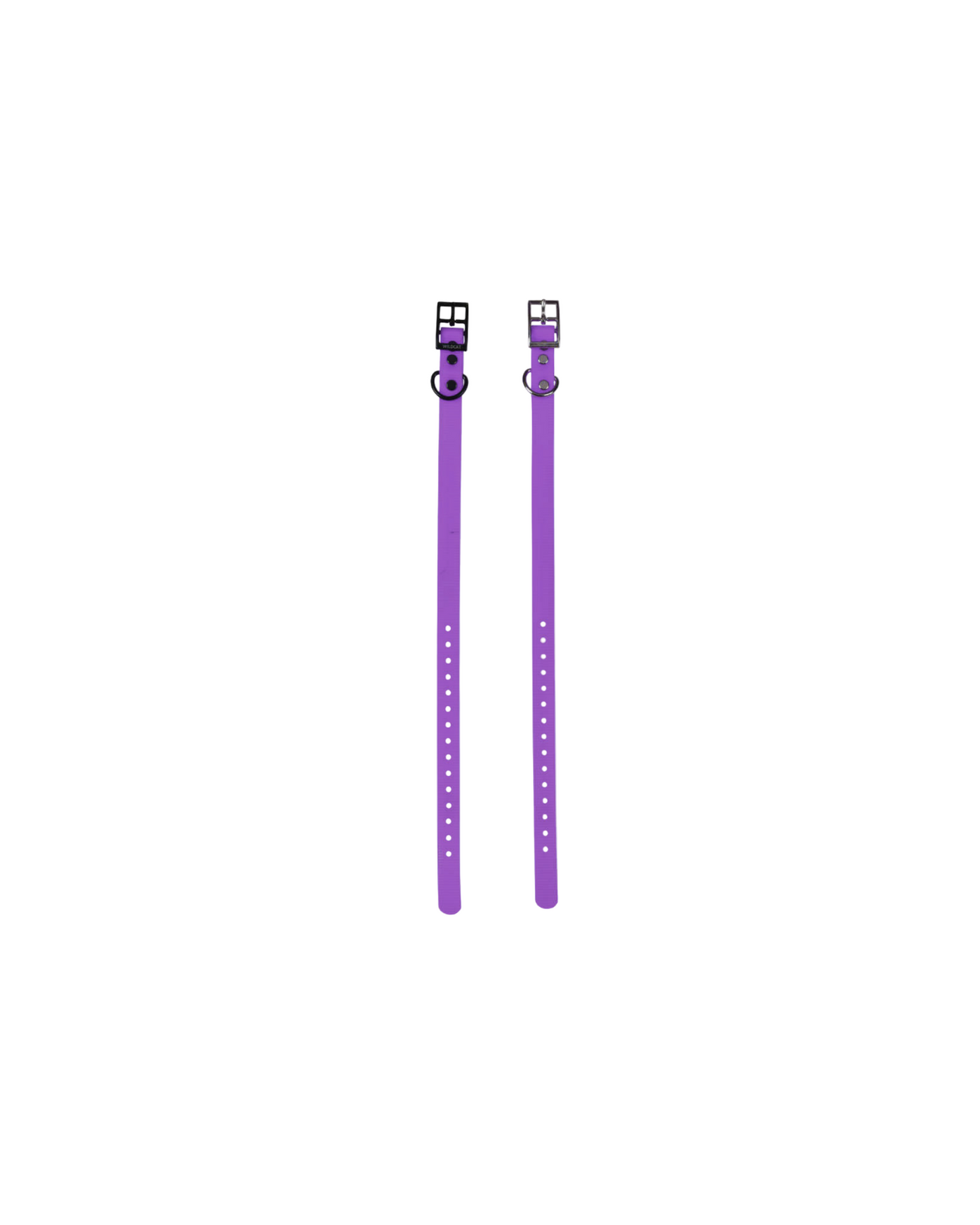 1" Reg Dayglow w/ D Ring Collar
