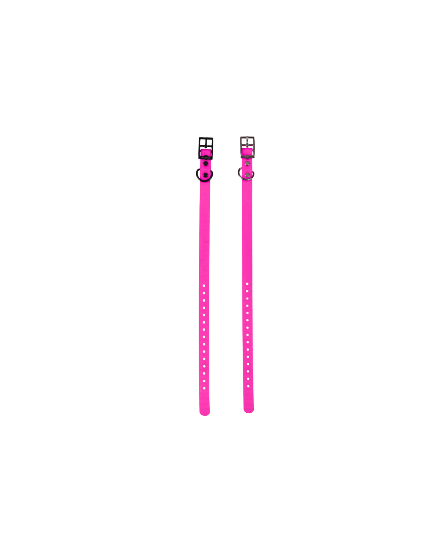 1" Reg Dayglow w/ D Ring Collar