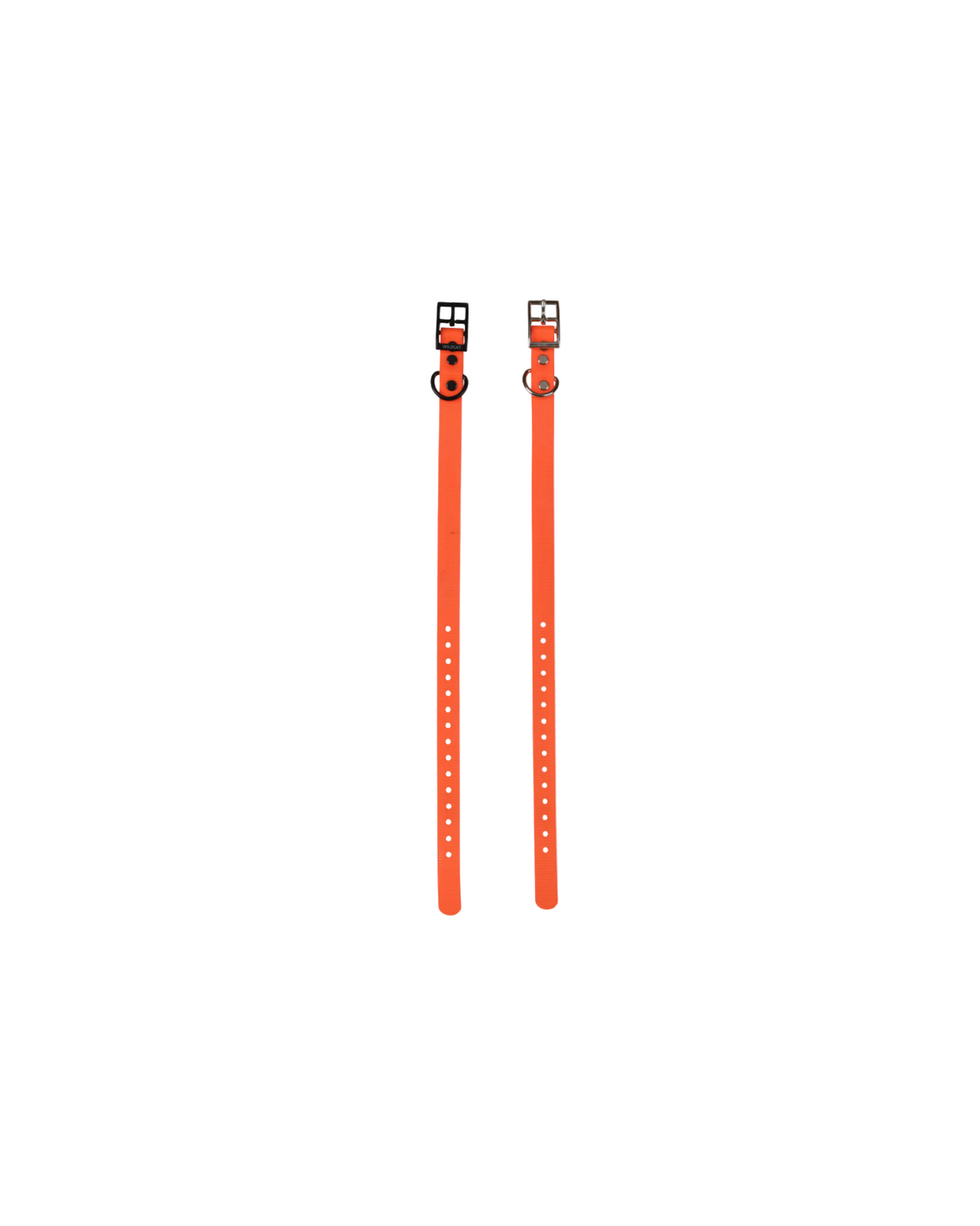 1" Reg Dayglow w/ D Ring Collar