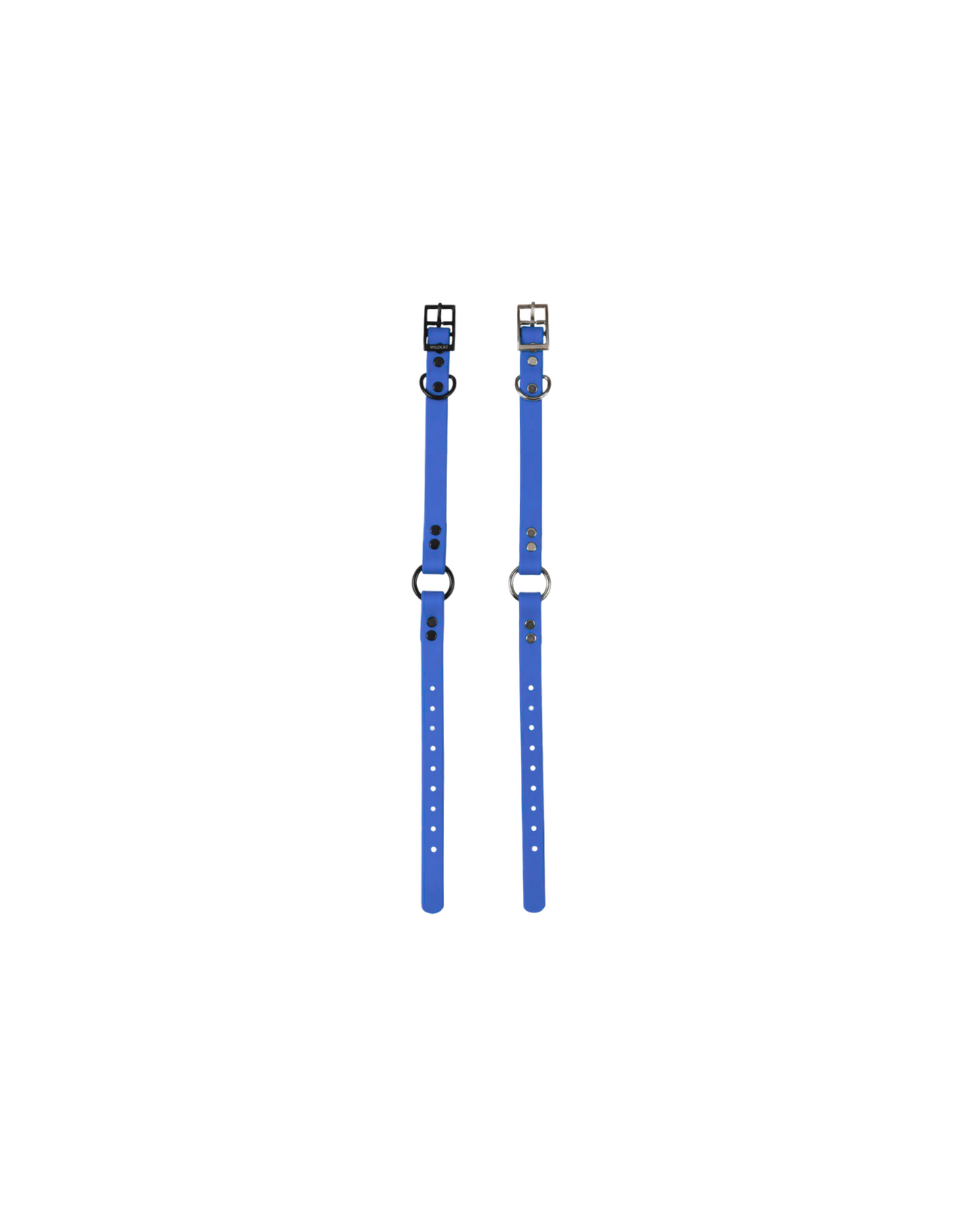 1" Reg Dayglow w/ D&O Ring Collar