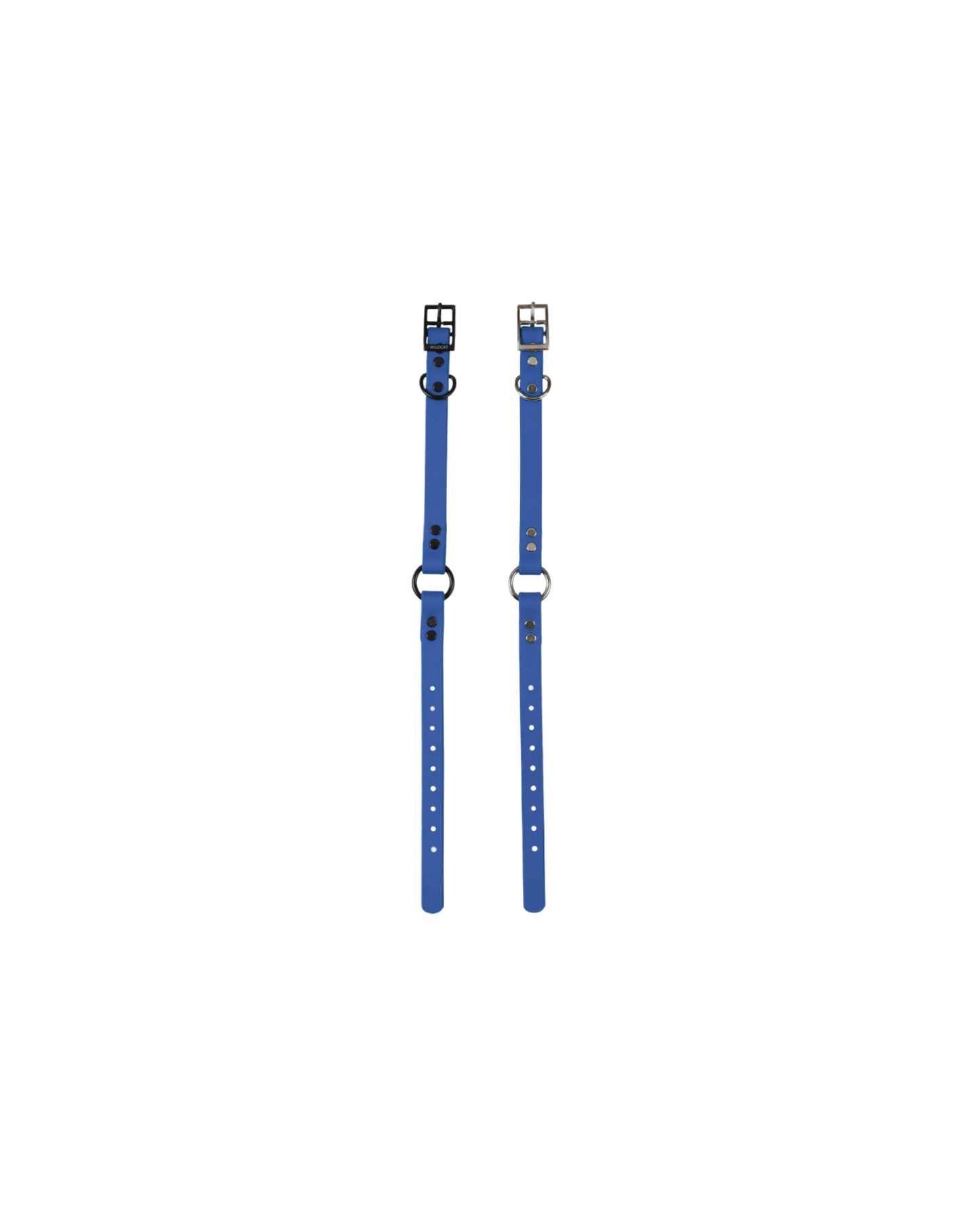 1" Reg Dayglow w/ D&O Ring Collar