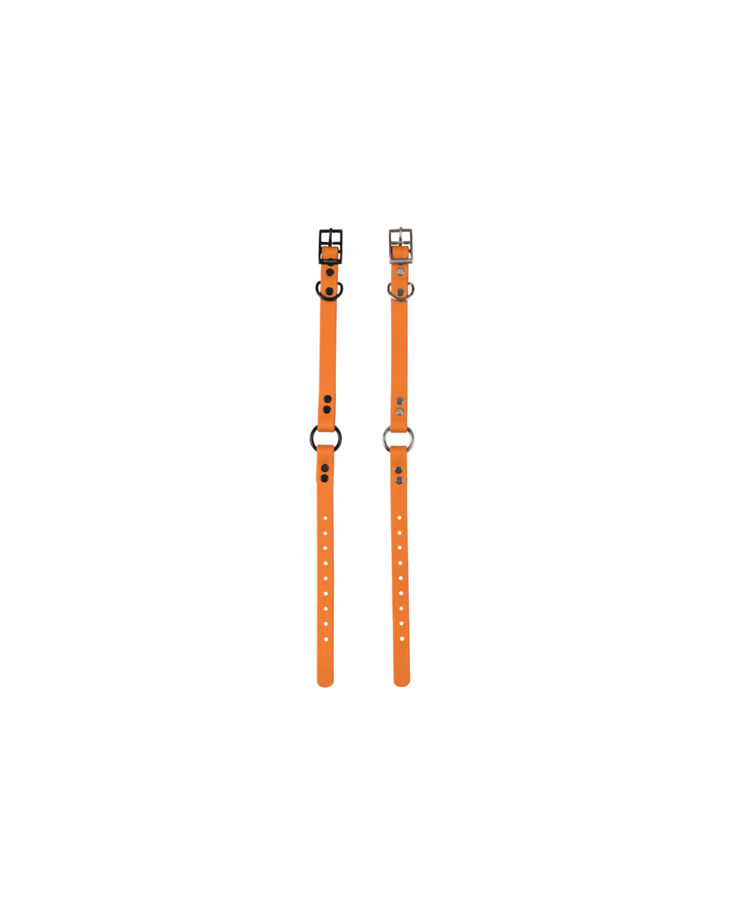 1" Reg Dayglow w/ D&O Ring Collar