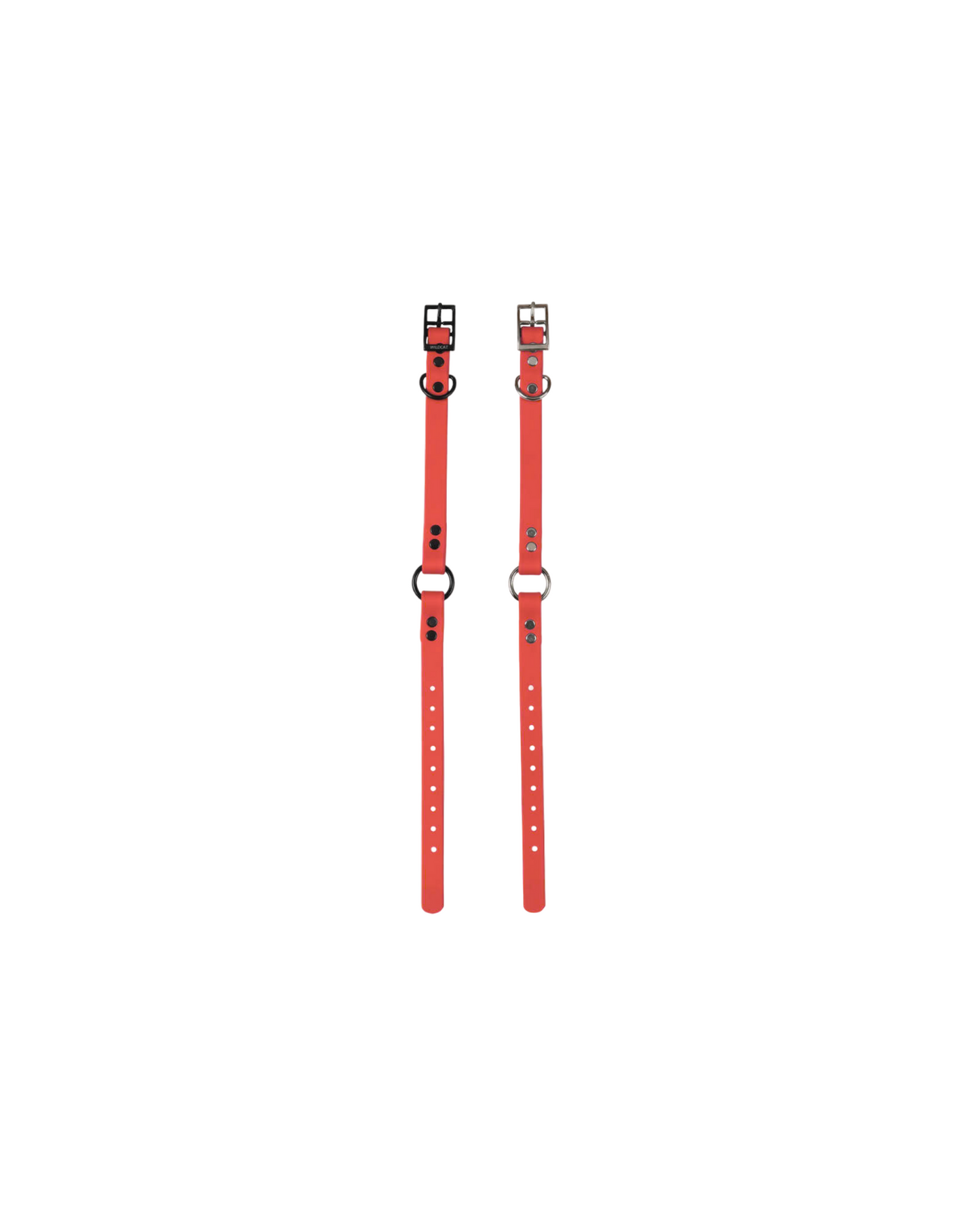 1" Reg Dayglow w/ D&O Ring Collar