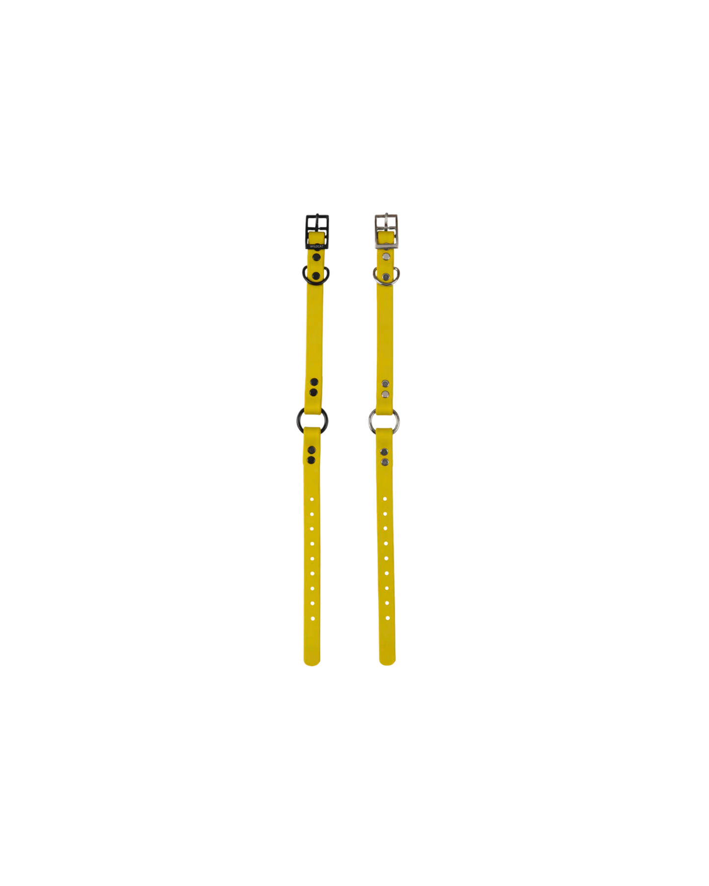 1" Reg Dayglow w/ D&O Ring Collar