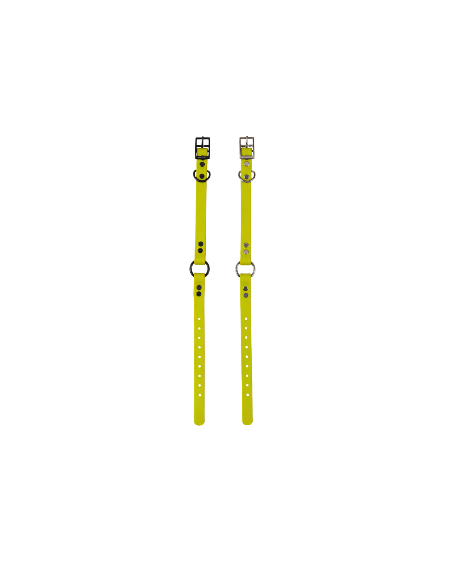 1" Reg Dayglow w/ D&O Ring Collar