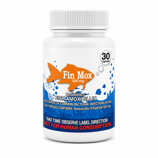 Fin Mox 500Mg 30Ct Amoxicillin
