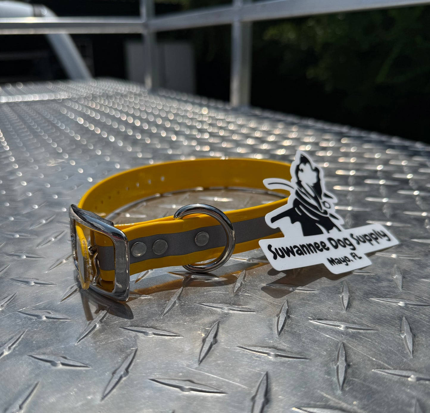 1" Standard Reflective W/ D Ring Collar