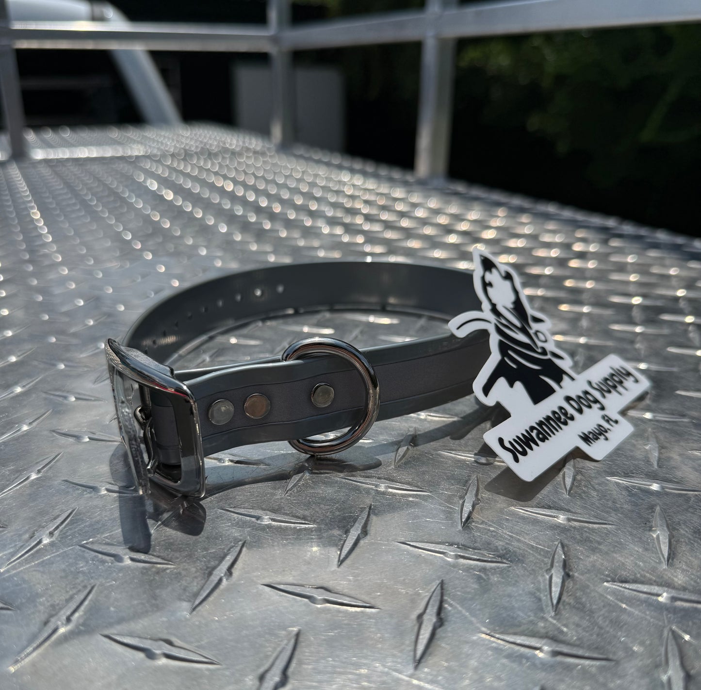 1" Standard Reflective W/ D Ring Collar
