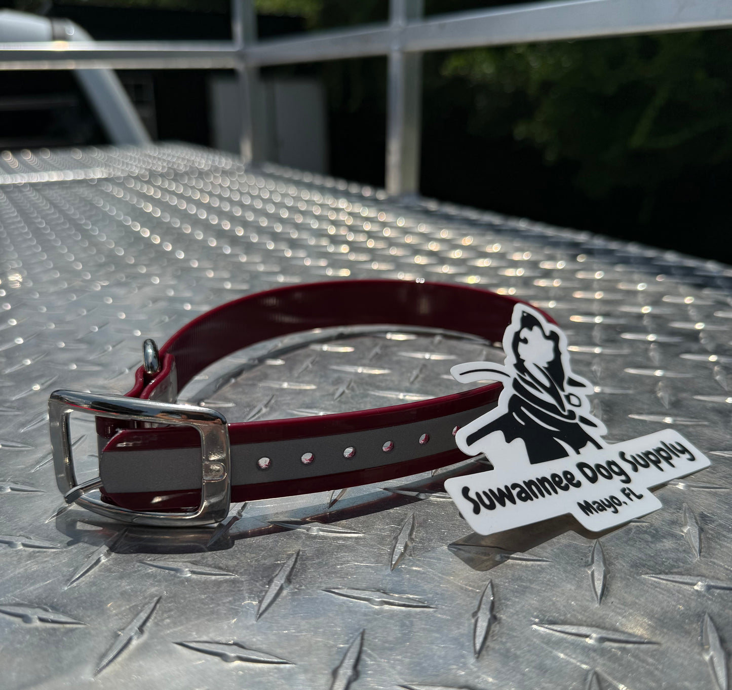 1" Standard Reflective W/ D Ring Collar