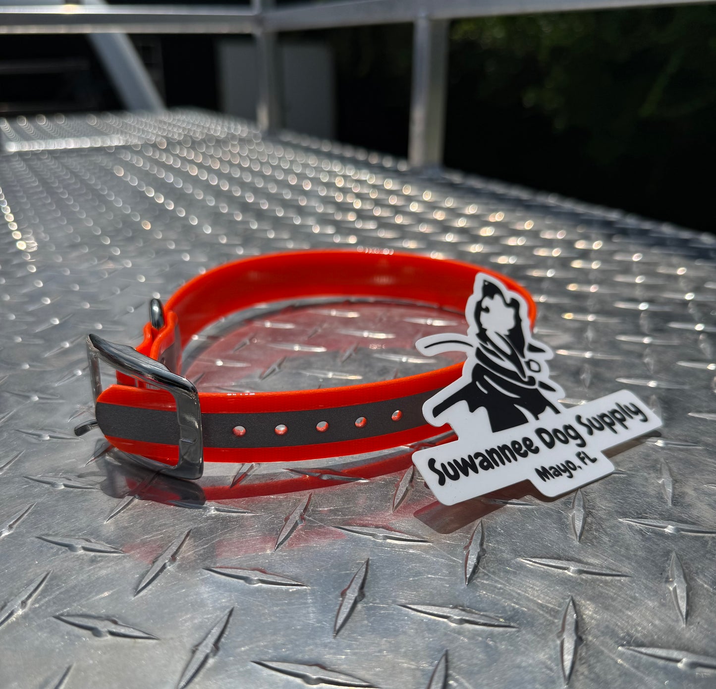 1" Standard Reflective W/ D Ring Collar
