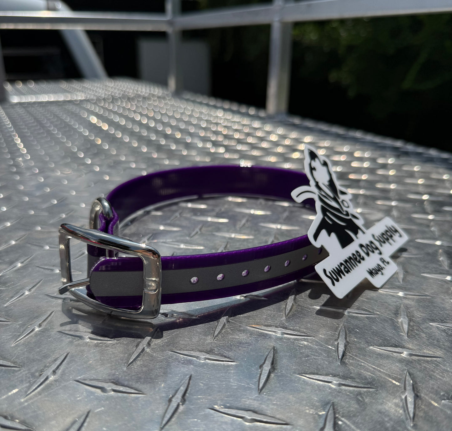 1" Standard Reflective W/ D Ring Collar