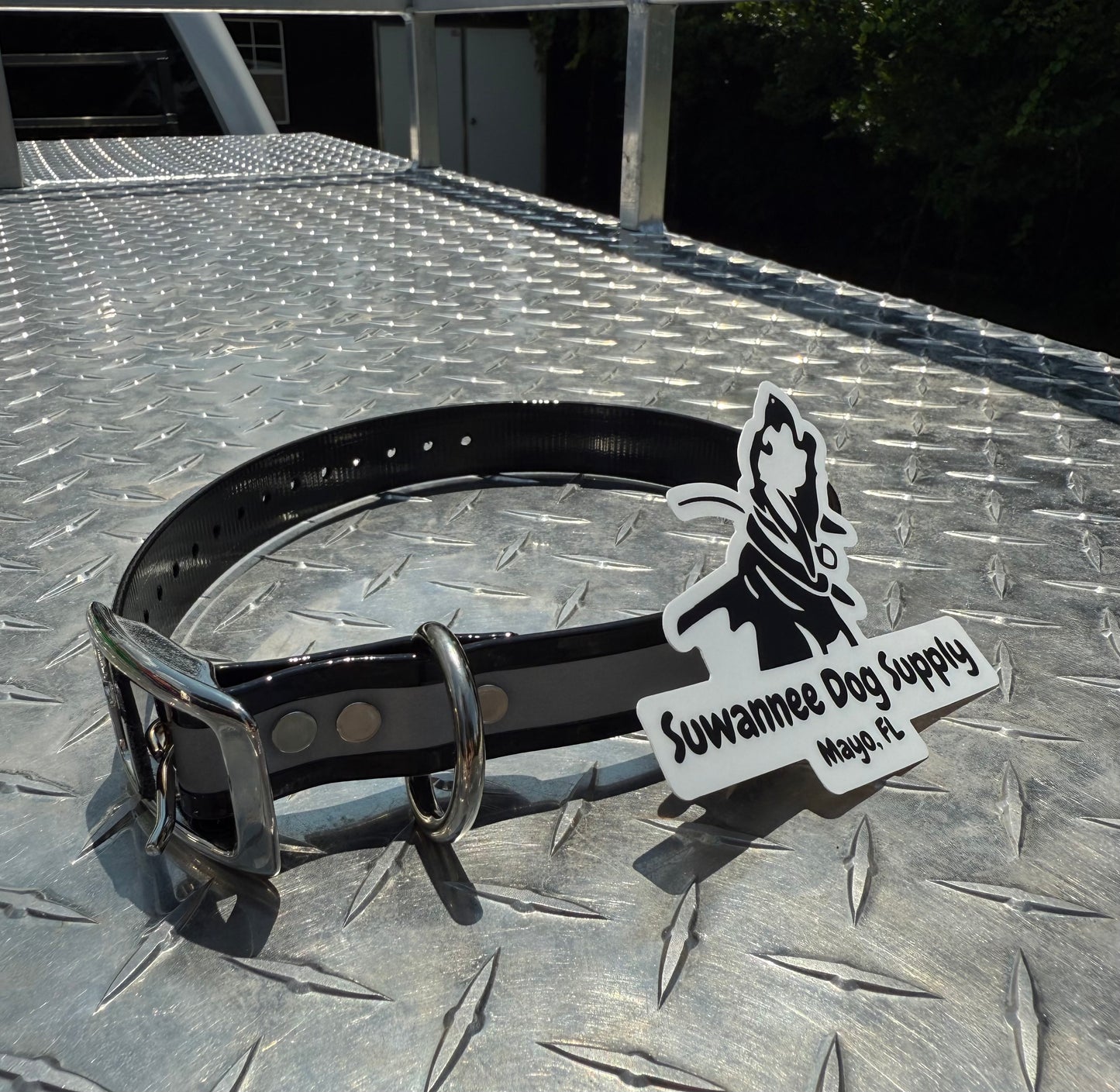 1" Standard Reflective W/ D Ring Collar