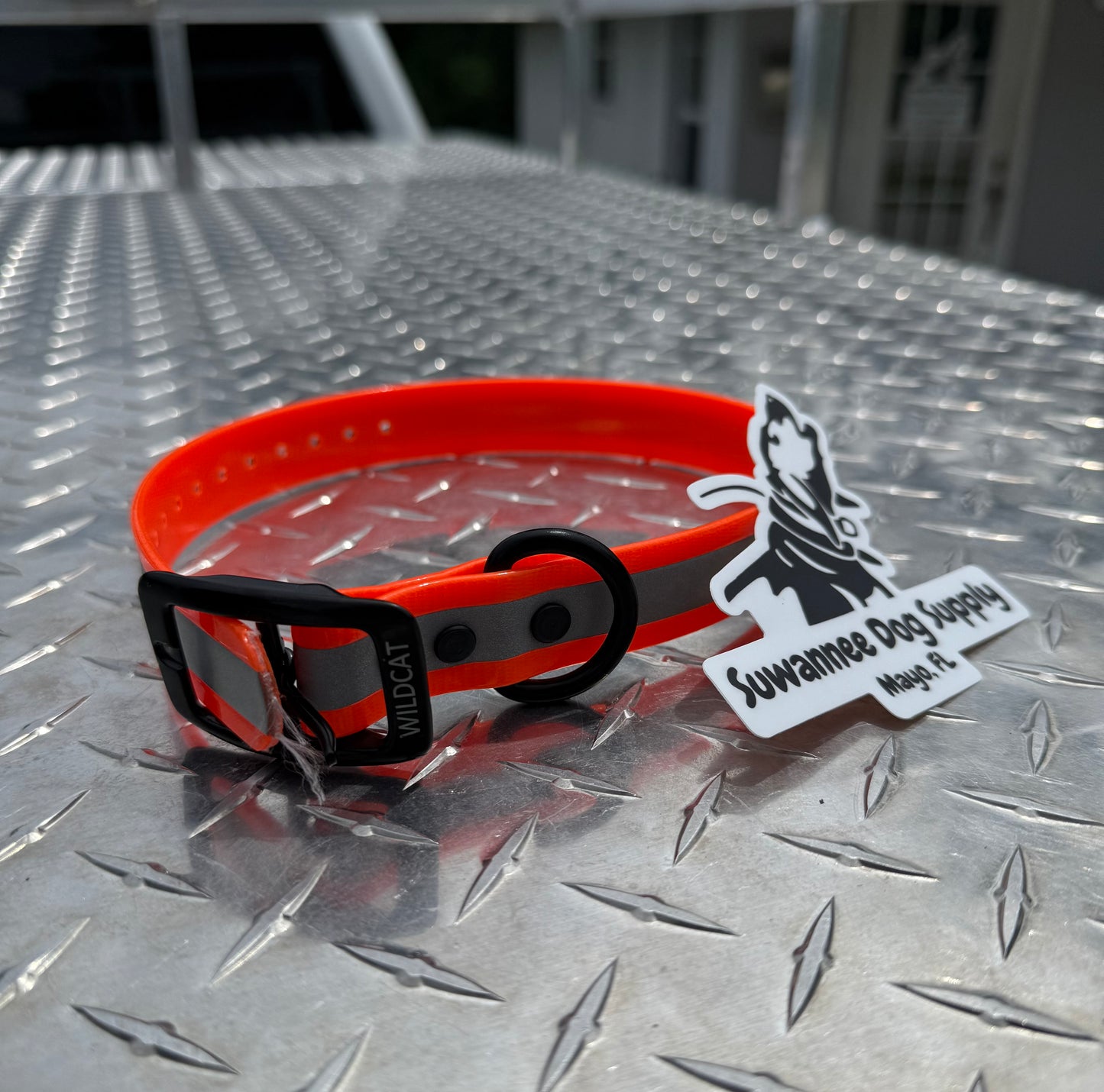 1" Standard Reflective W/ D Ring Collar
