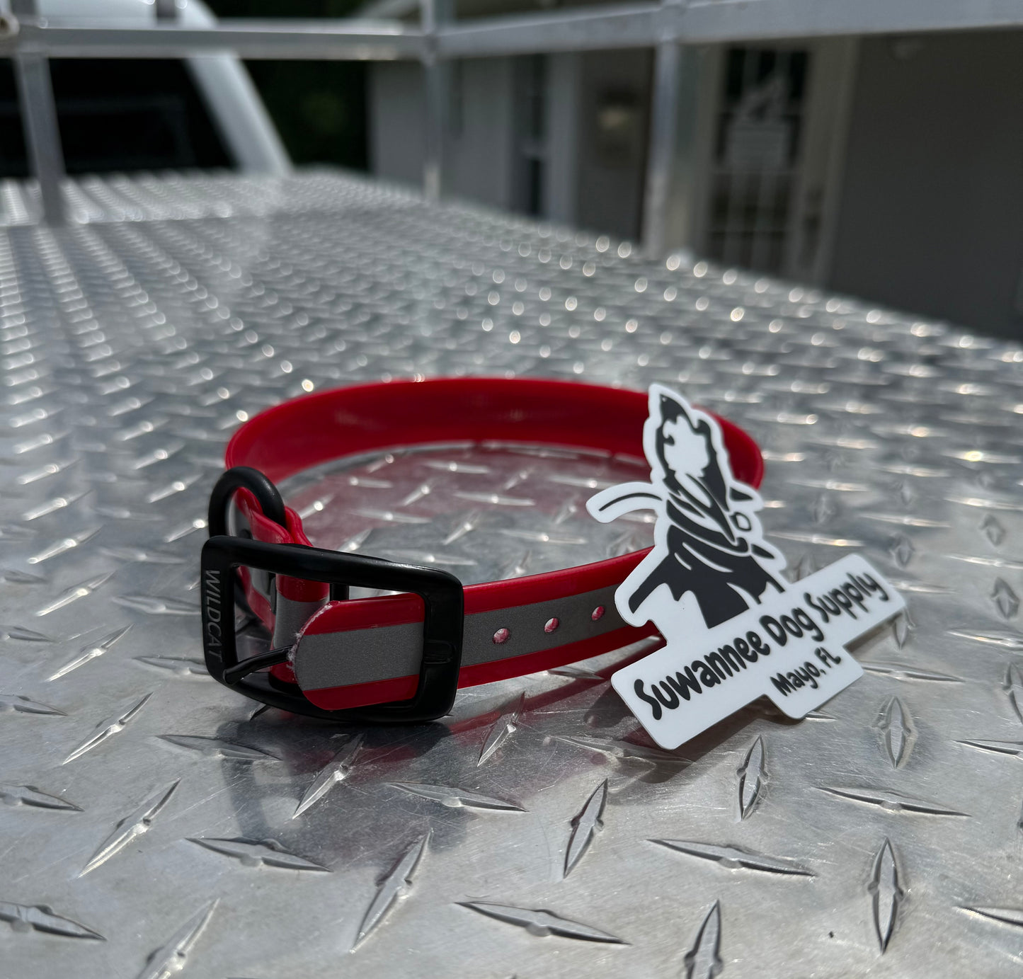 1" Standard Reflective W/ D Ring Collar