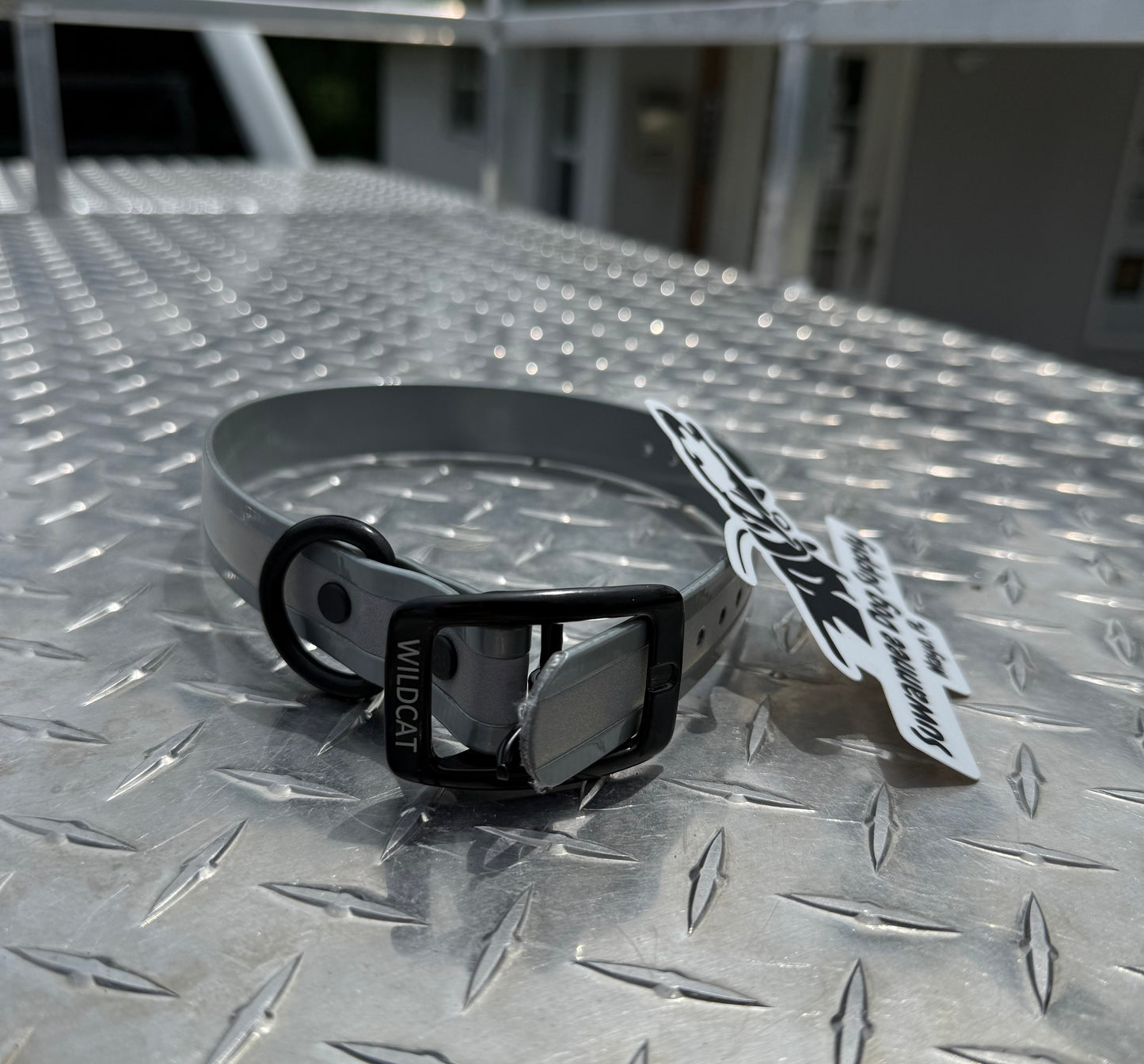 1" Standard Reflective W/ D Ring Collar