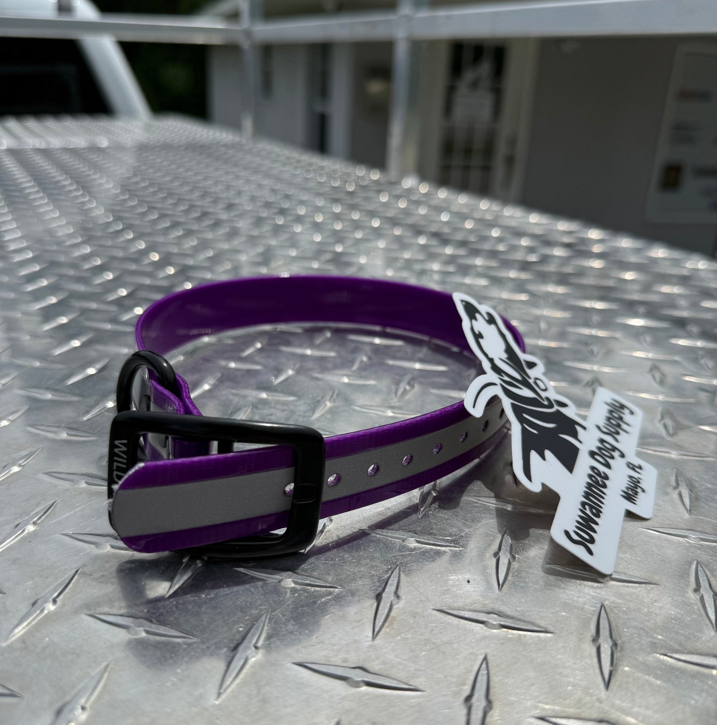 1" Standard Reflective W/ D Ring Collar