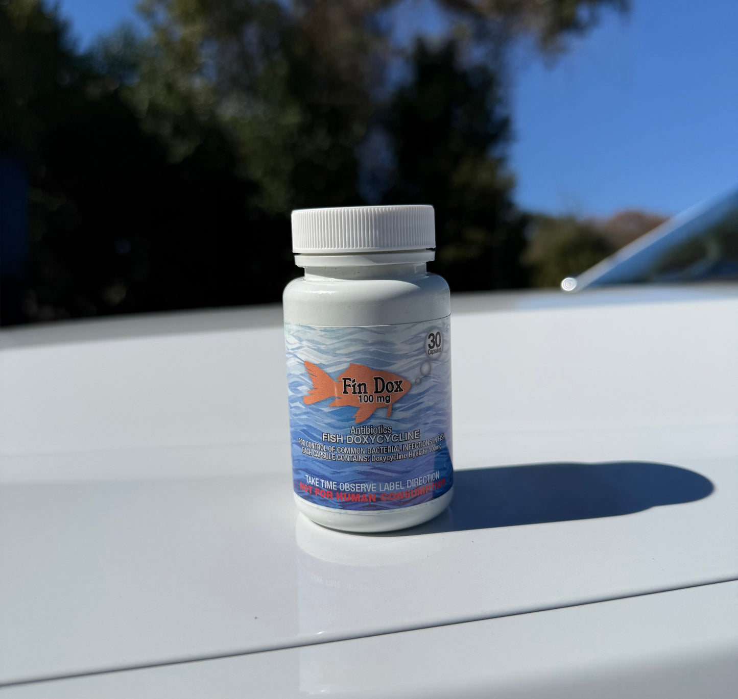 Fin Dox 100Mg 30Ct Doxycycline