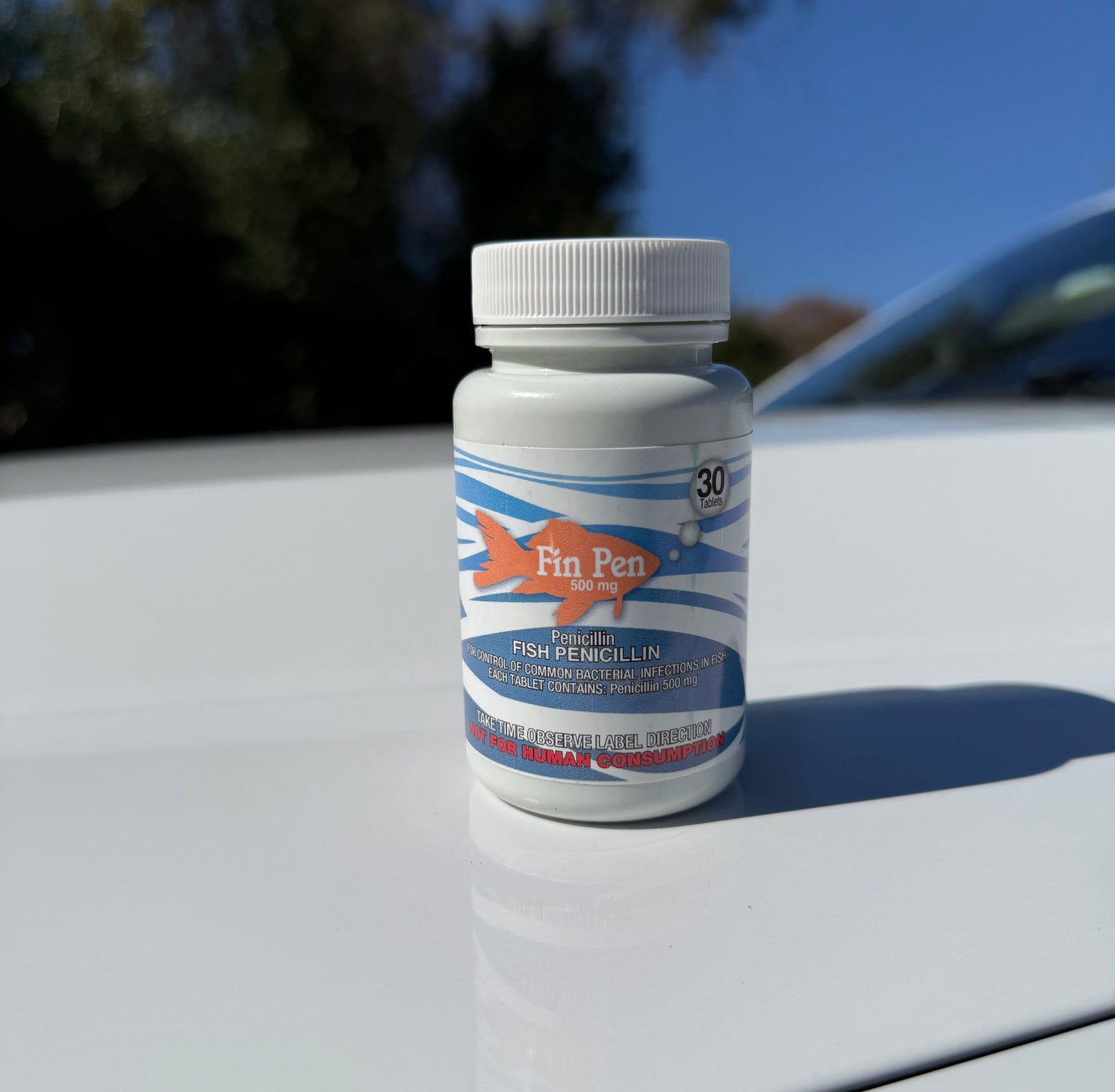 Fin Pen 500Mg 30Ct Penicillin