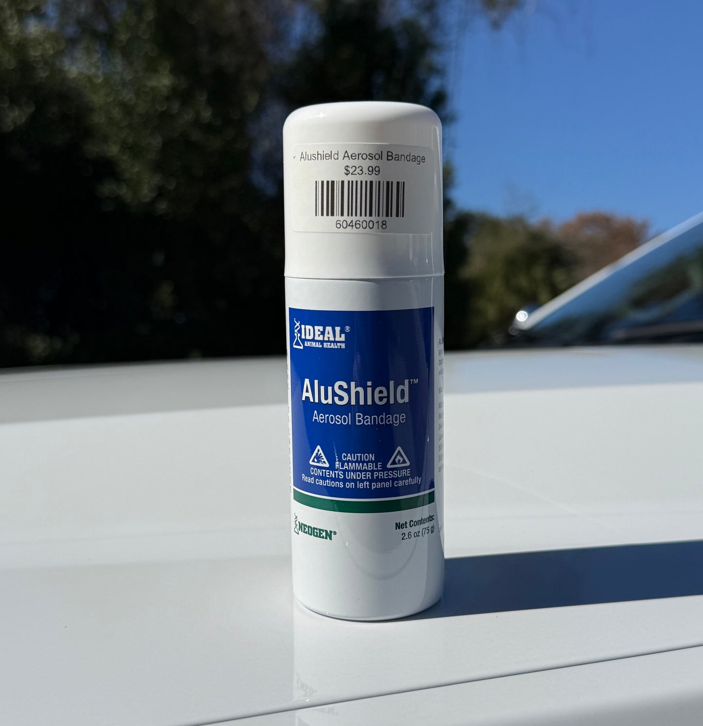 Alushield Aerosol Bandage