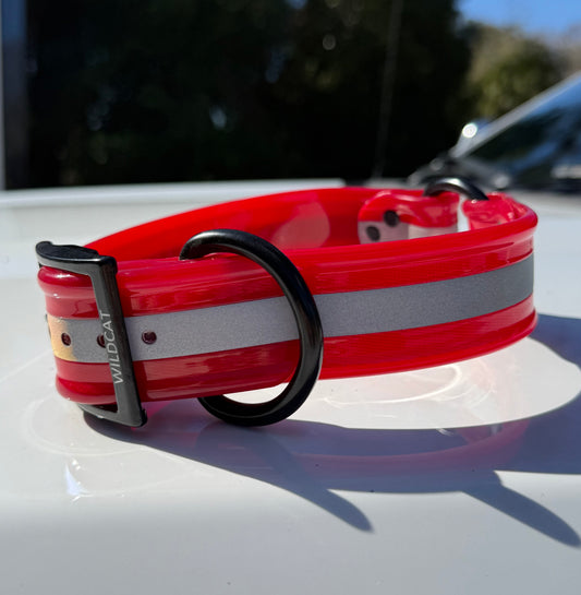 1 1/2" Reflective w/ D&O Ring Collar