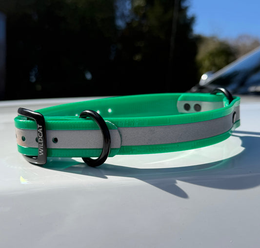 1" Standard Reflective w/ D&O Ring Collar