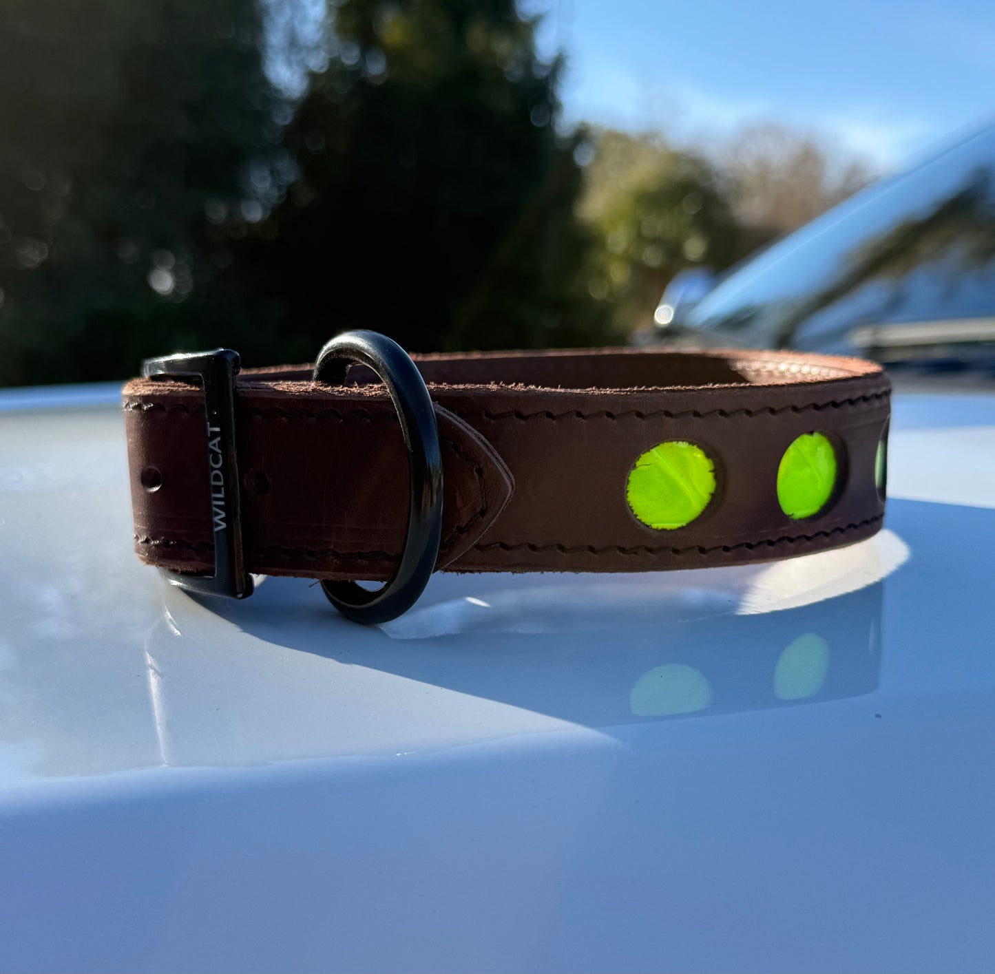 1 1/2" Leather D-Ring Reflective Collar