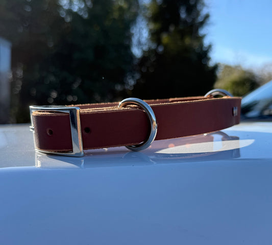 1" Leather D/O Ring Collar