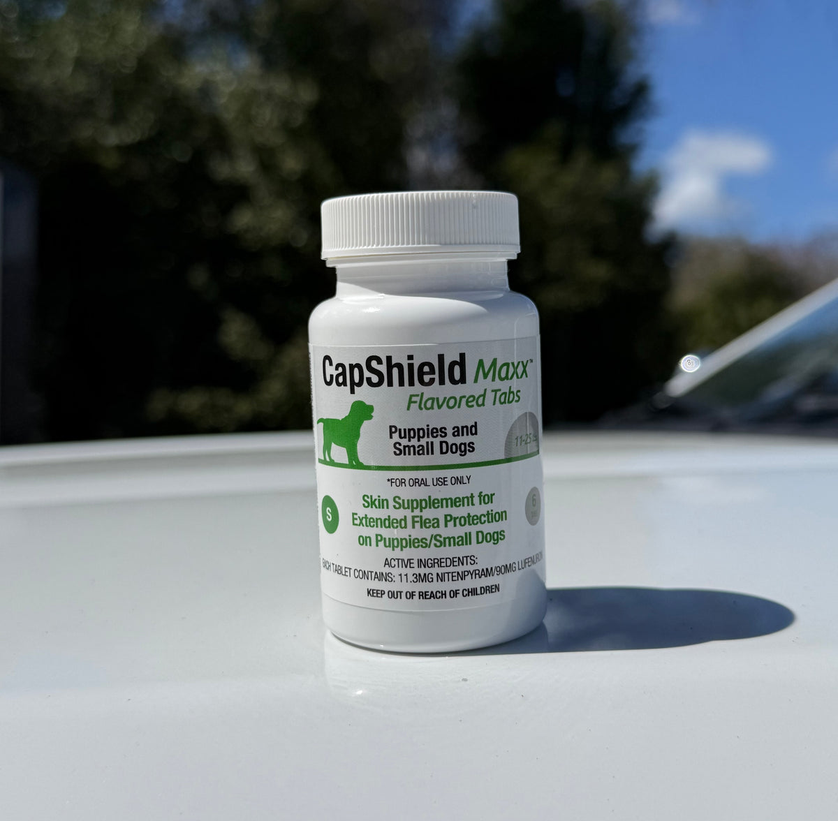 CapShield Maxx Flea Protection Small 6Tabs – Suwannee Dog Supply