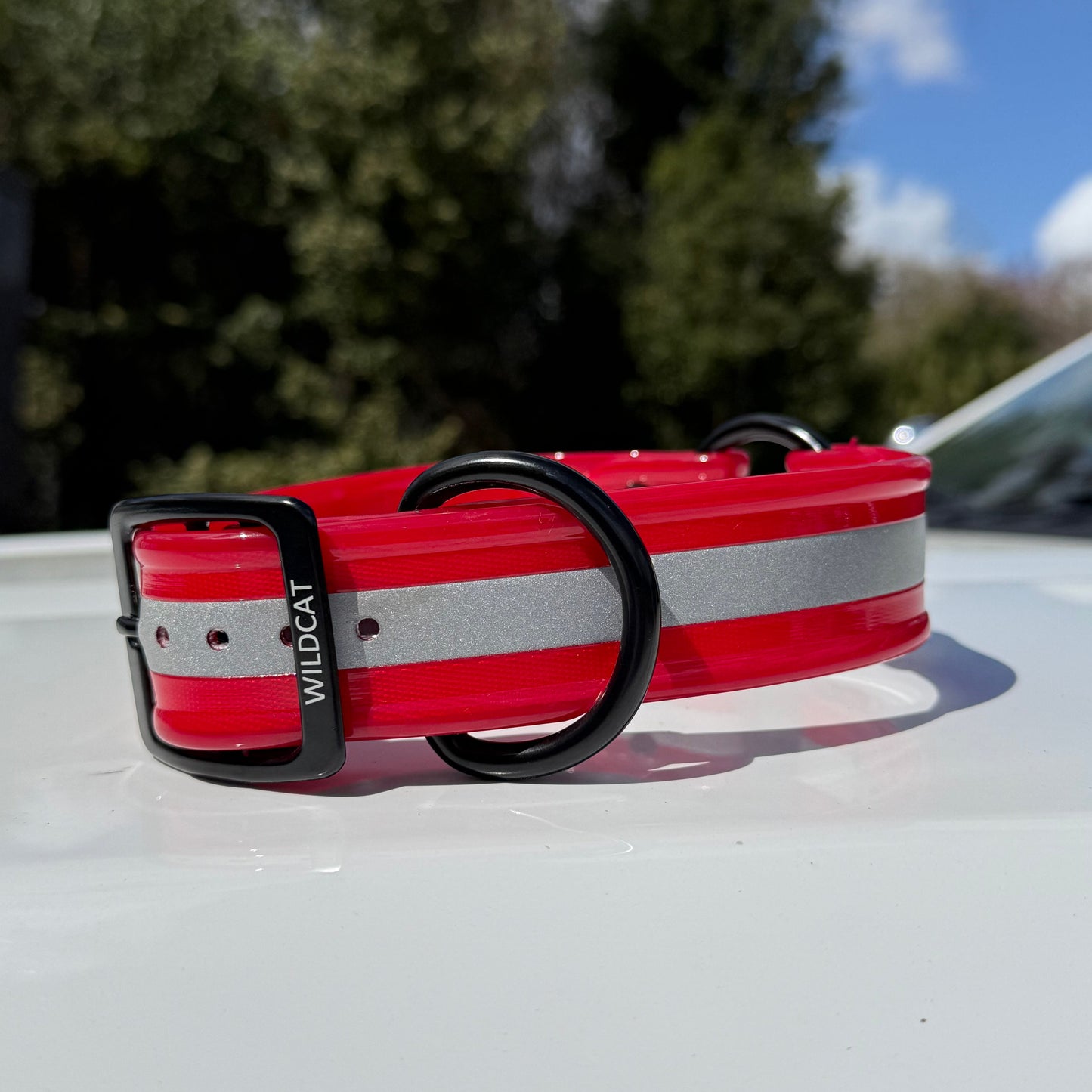 1 1/2" Reflective w/ D&O Ring Collar