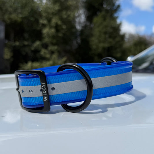 1 1/2" Reflective w/ D&O Ring Collar