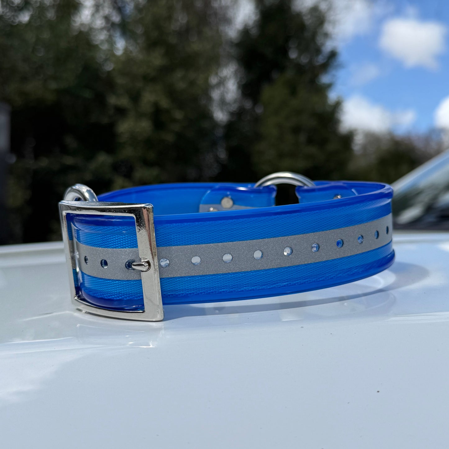 1 1/2" Reflective w/ D&O Ring Collar