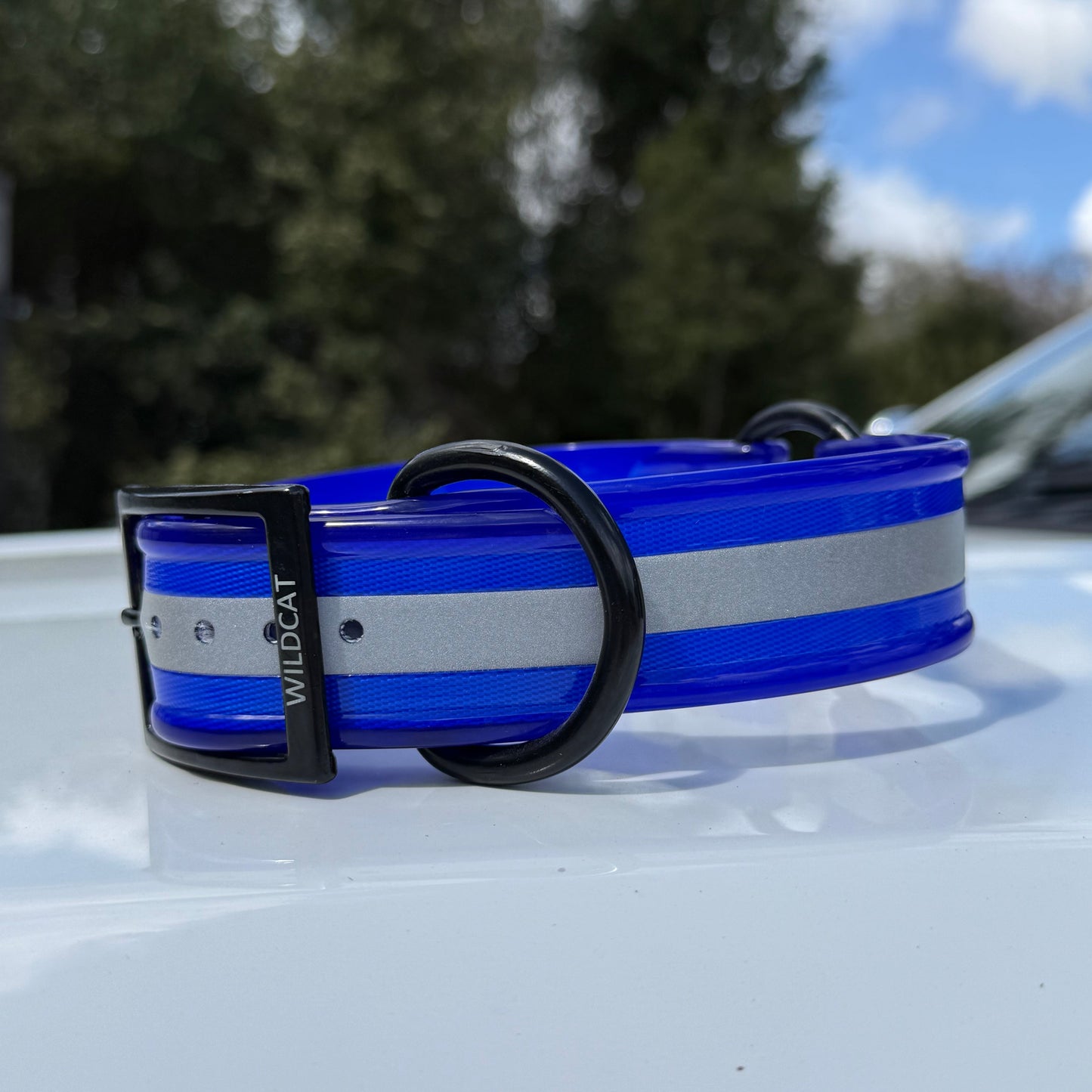 1 1/2" Reflective w/ D&O Ring Collar