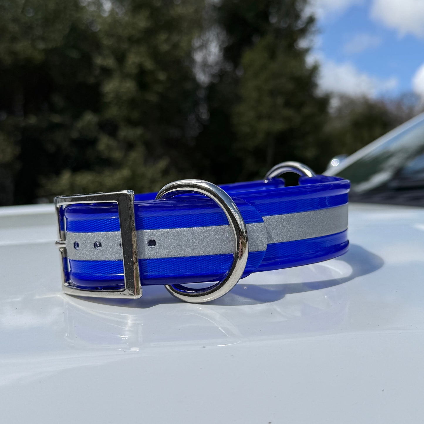 1 1/2" Reflective w/ D&O Ring Collar