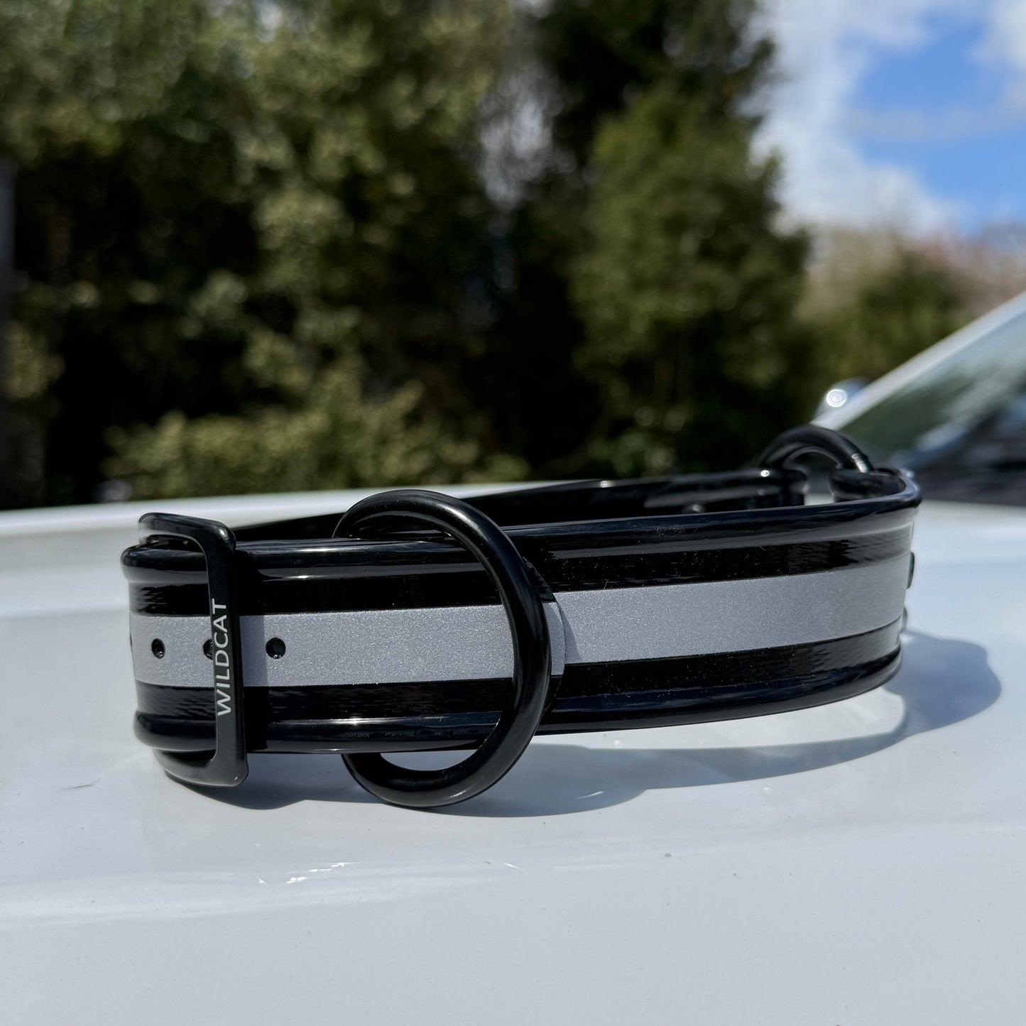 1 1/2" Reflective w/ D&O Ring Collar