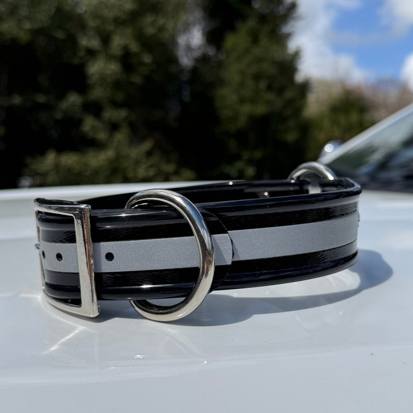 1 1/2" Reflective w/ D&O Ring Collar